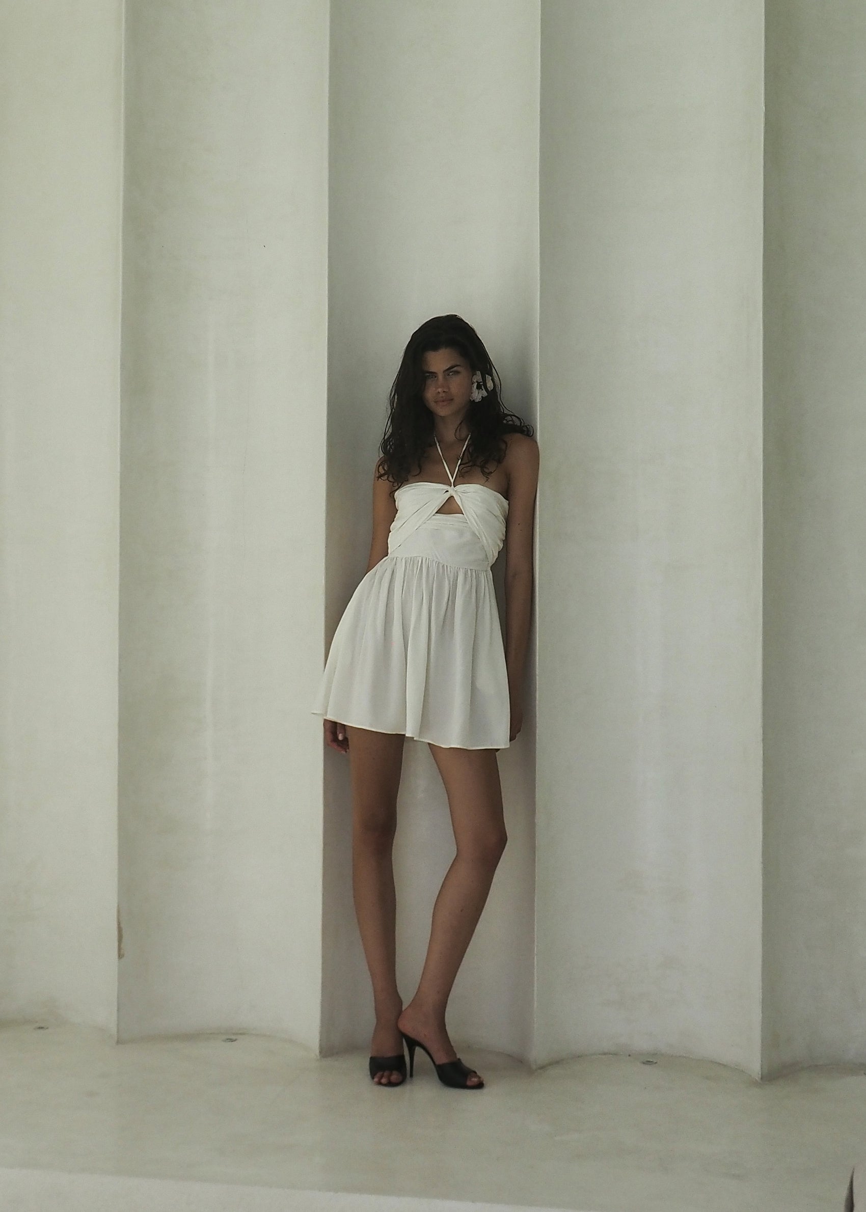 SALVIA BLANC LECOLLET