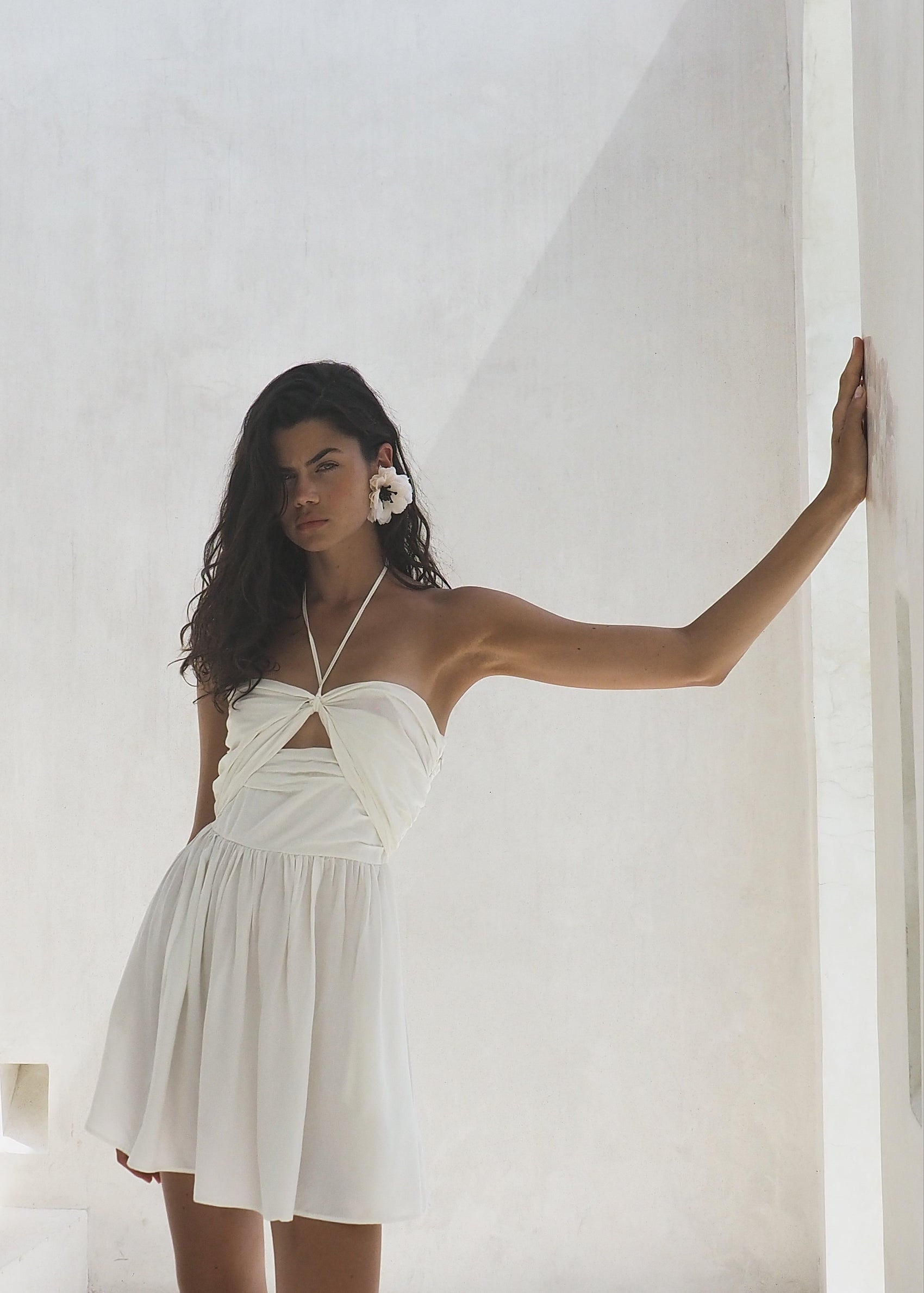 SALVIA BLANC LECOLLET