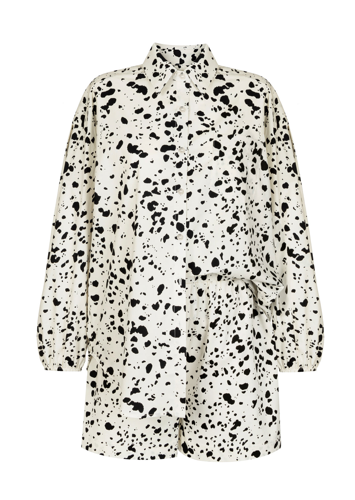 MONS II DALMATA LECOLLET