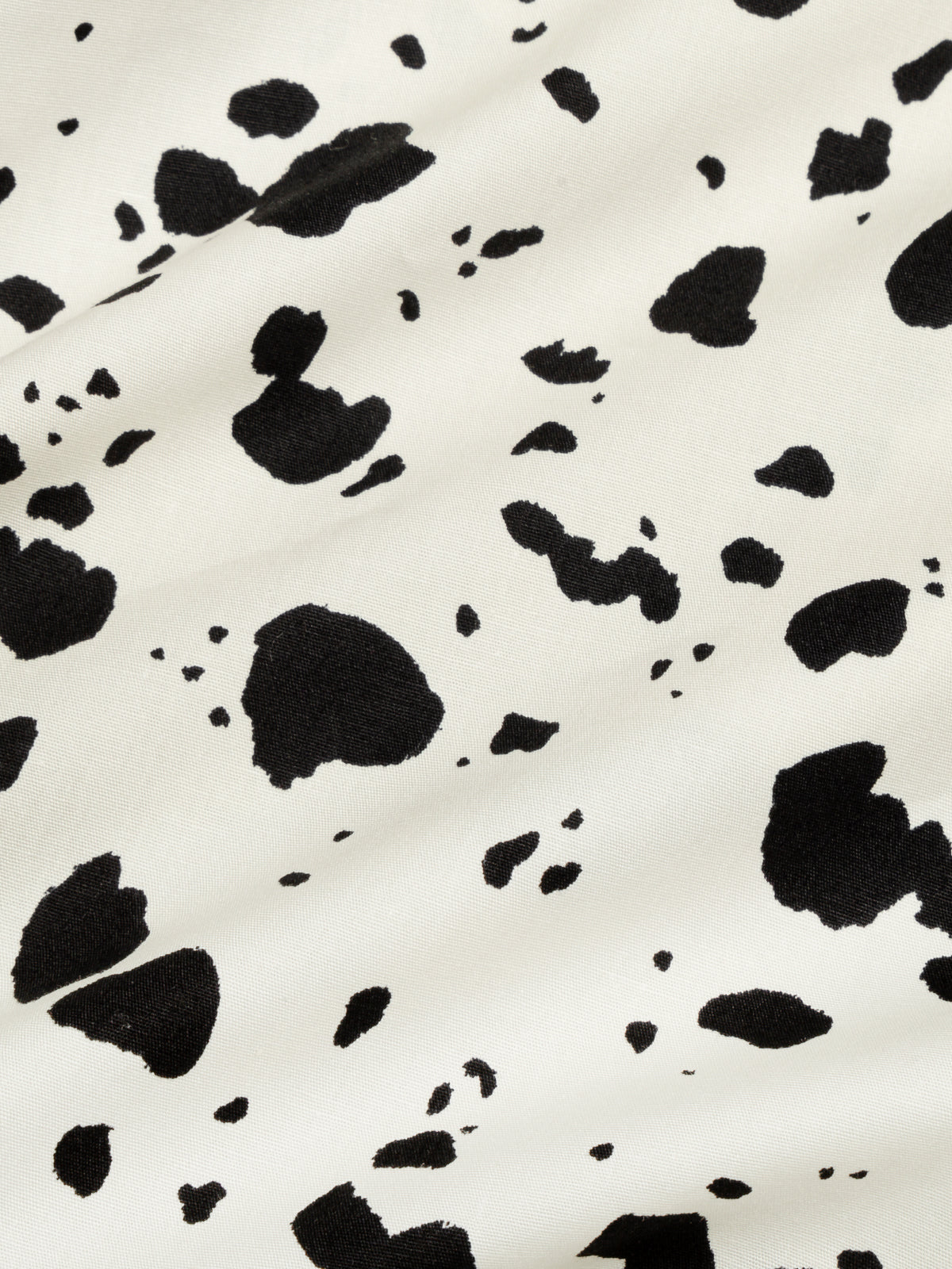 MONS II DALMATA LECOLLET