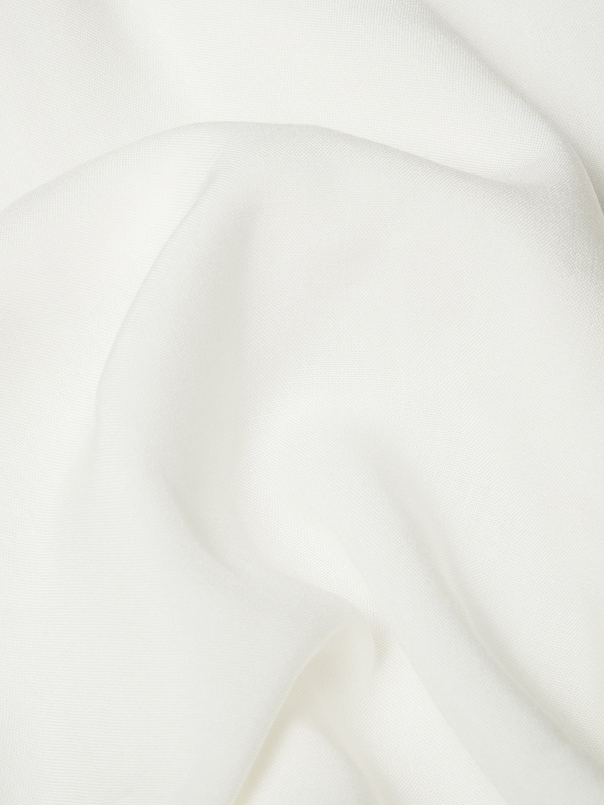 SALVIA BLANC LECOLLET